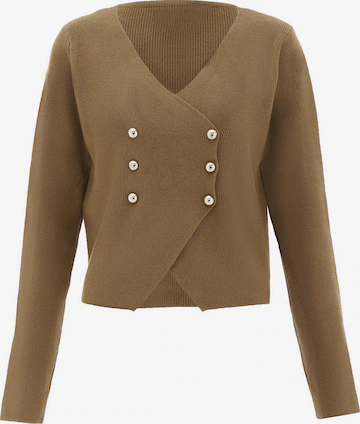 ruda NAEMI Kardiganas: priekis