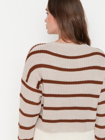 Trendyol Pullover in Grau