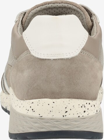 SALAMANDER Sneaker in Beige