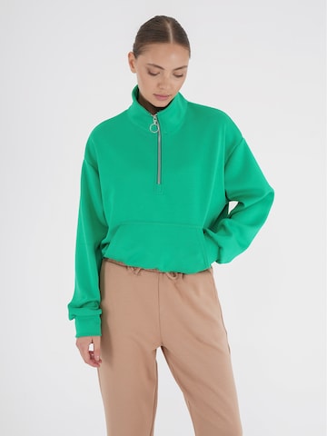FRESHLIONS Sweatshirt in Green: front