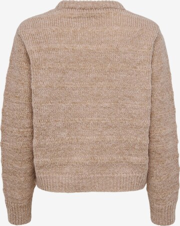 ONLY Pullover 'Celina' in Beige