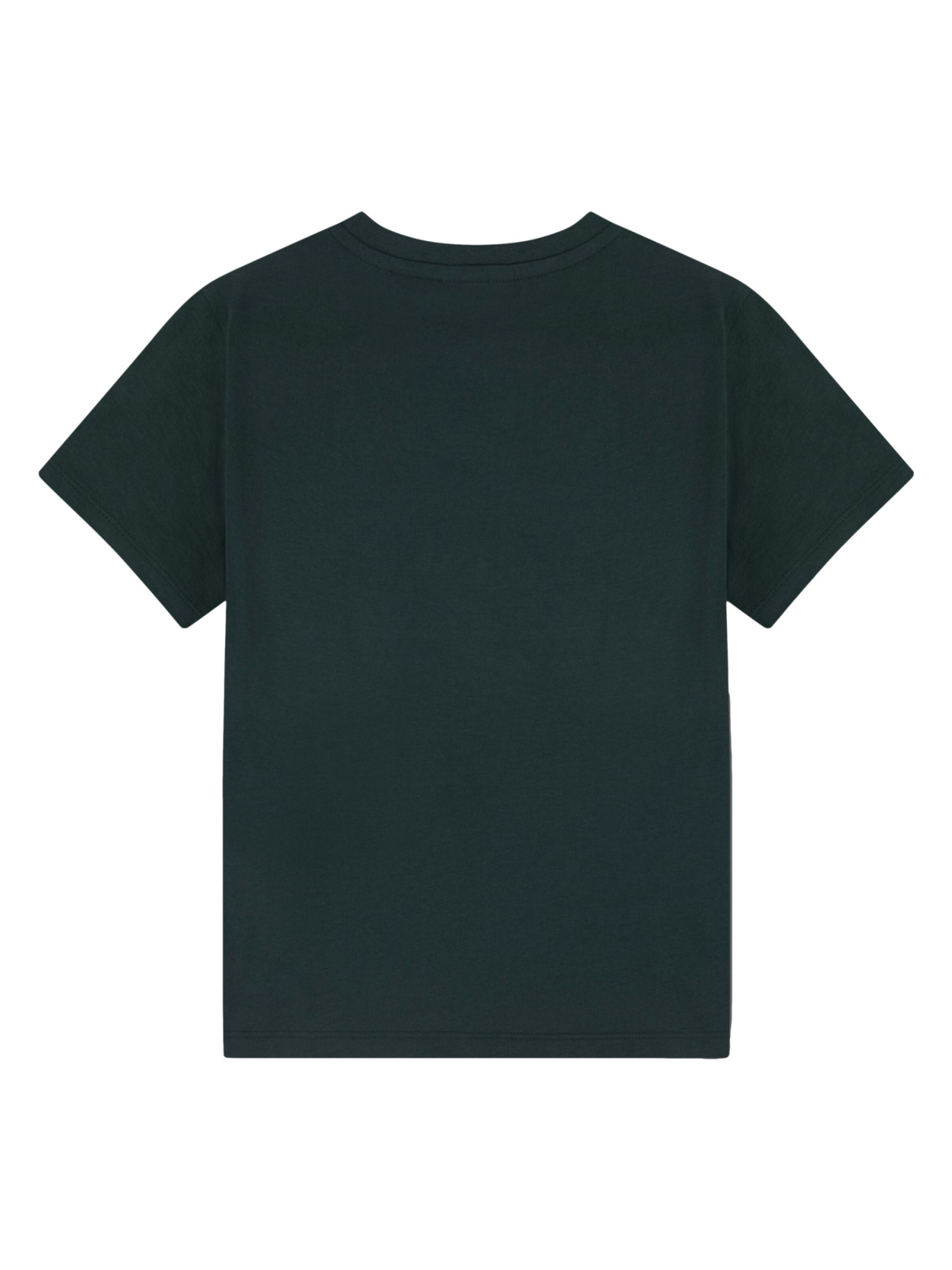 LACOSTE Shirt in Green