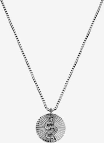 PURELEI Ketting 'Snake Coin' in Zilver: voorkant