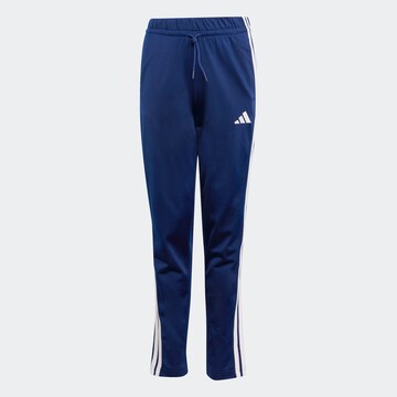ADIDAS SPORTSWEAR Tréningruha - kék