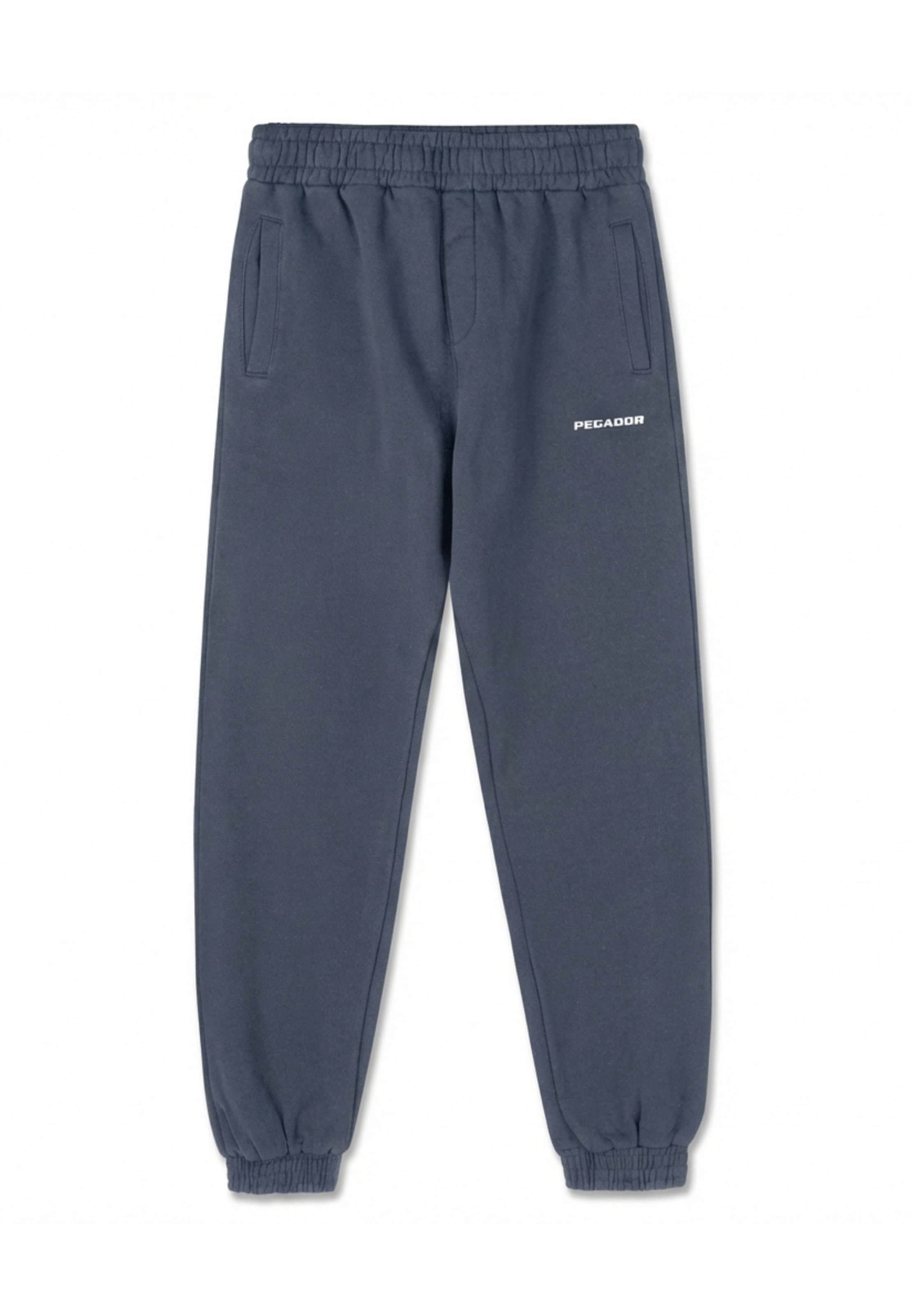 Pegador Trousers in Blue: front