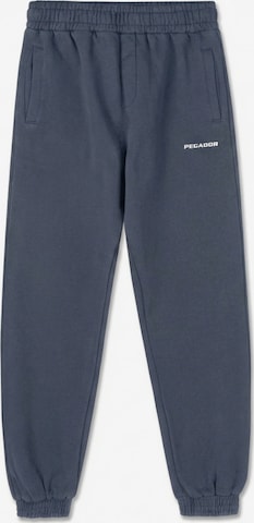 Pegador Trousers in Blue: front