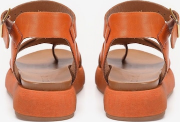 INUOVO Sandalen met riem in Oranje