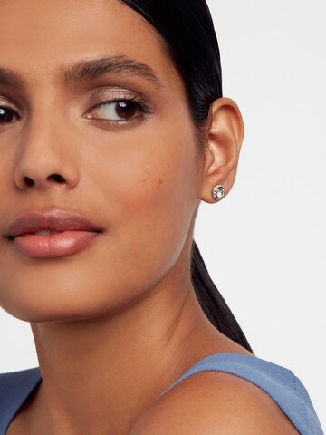 Ted Baker - Pendientes 'SOLETIA' en plata: frente