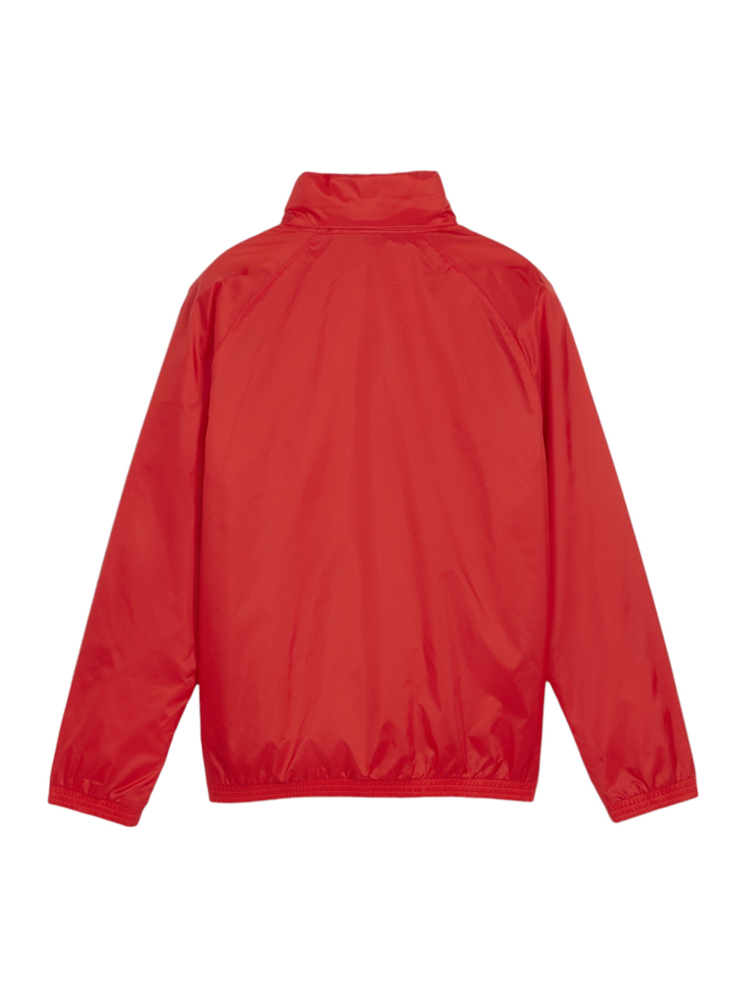 PUMA Athletic Jacket 'TeamGoal' in Red