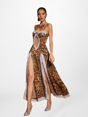 Mew Mews Dress 'Kiran' in Brown