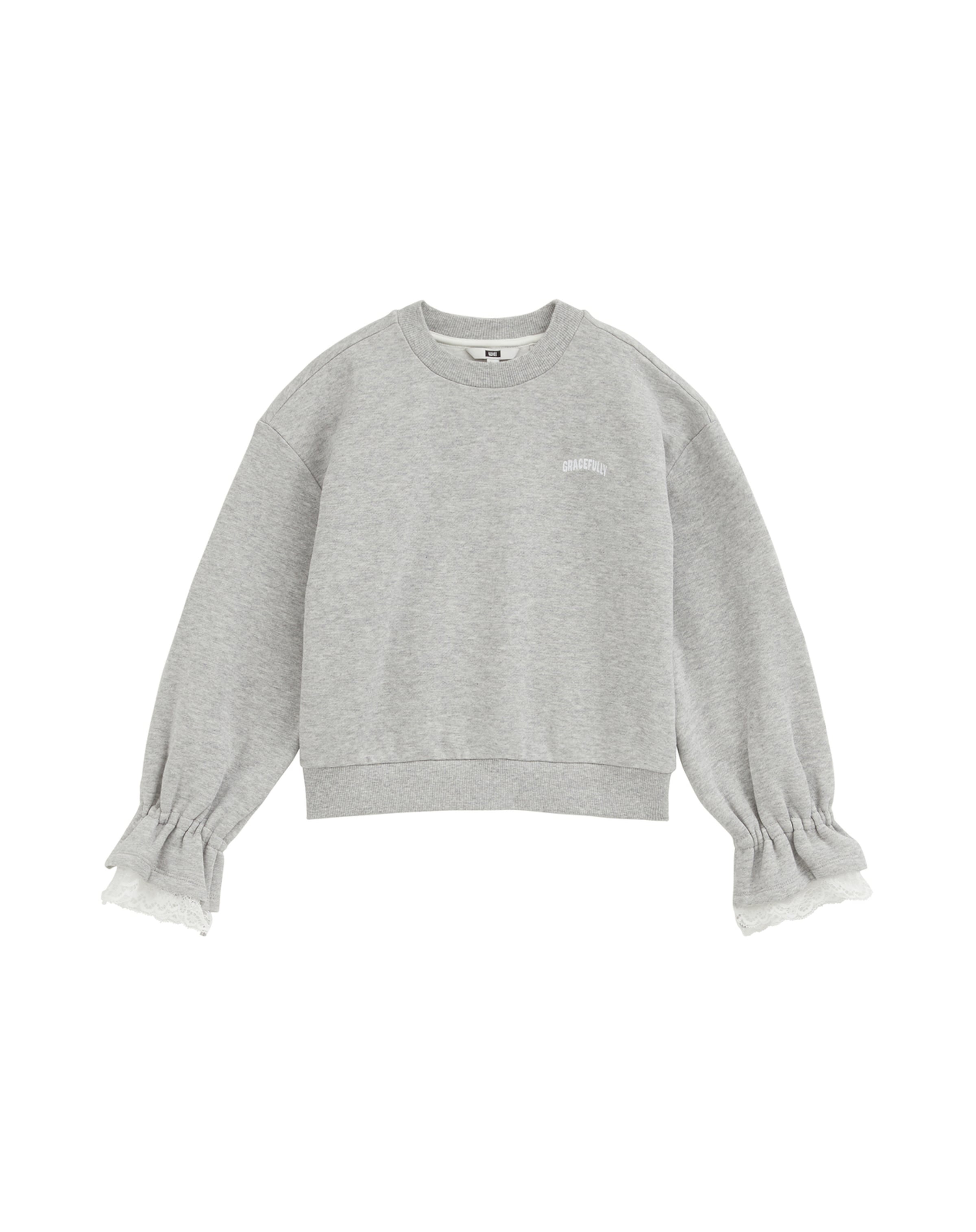 WE Fashion Свитшот в Серый: спереди