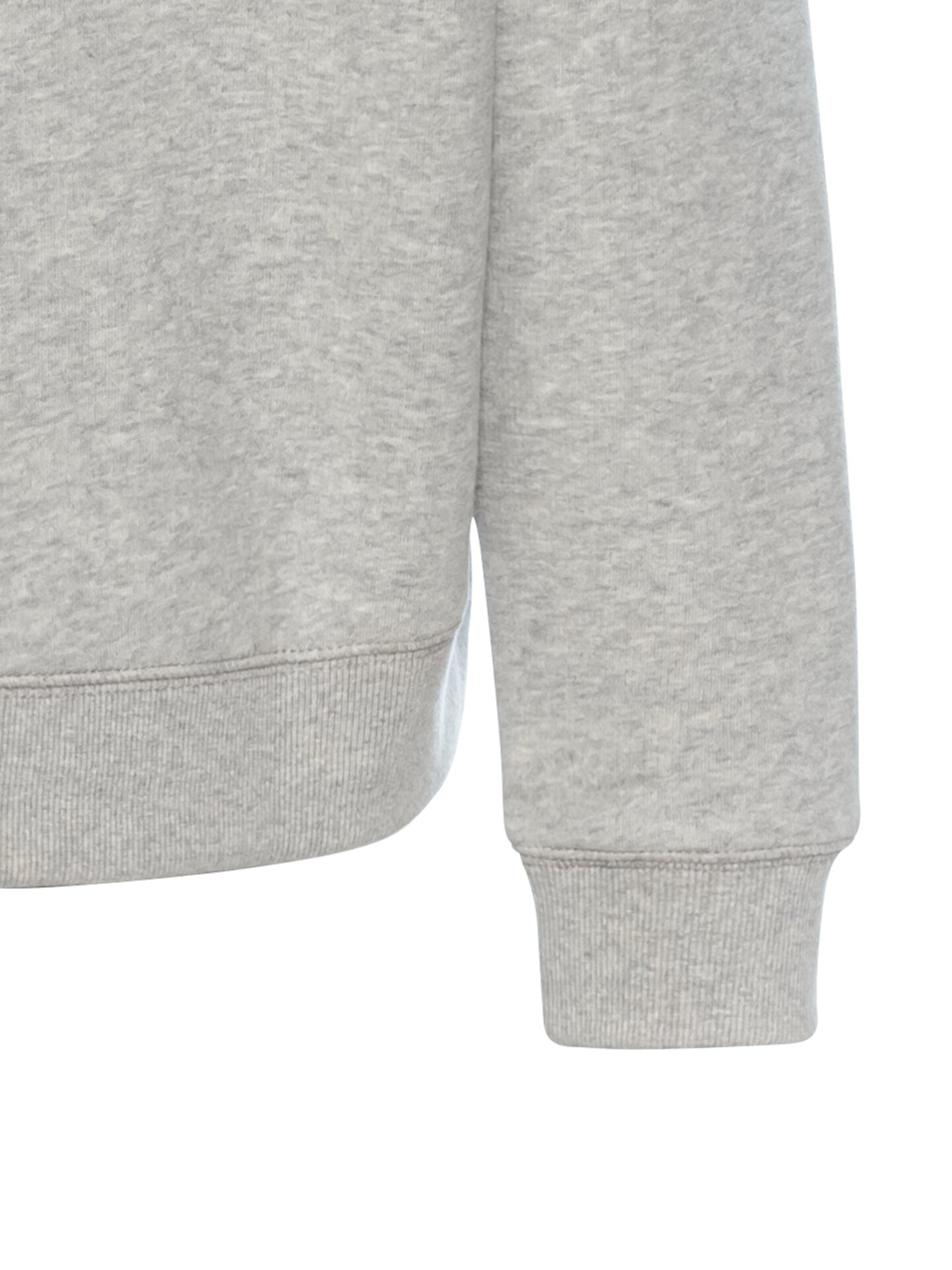 CAMEL ACTIVE Sweatshirt mit Print in Grau