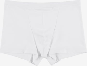 HOM Boxer shorts ' Yann ' in White: front