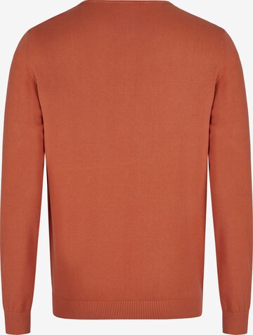 HECHTER PARIS Pullover in Orange