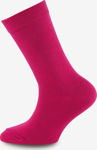 Regular Chaussettes EWERS en violet