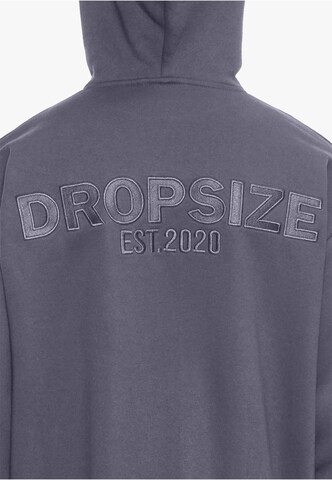 Sweat-shirt Dropsize en gris
