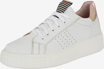 Baskets basses 'HARPER' Crickit en blanc : devant