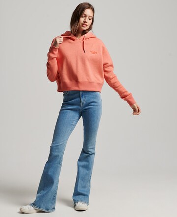 Superdry Sweatshirt in Orange