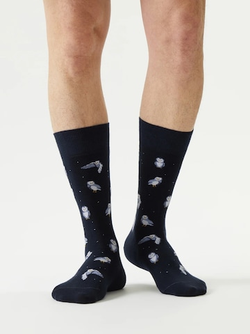 Von Jungfeld Socks 'Best of Icons' in Blue