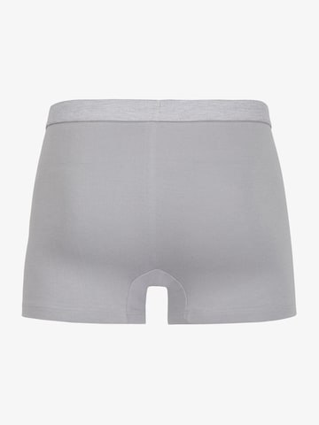 Erlich Textil Boxershorts'Gustav' in Grau