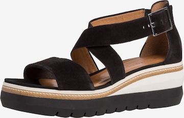 TAMARIS Sandals in Black: front