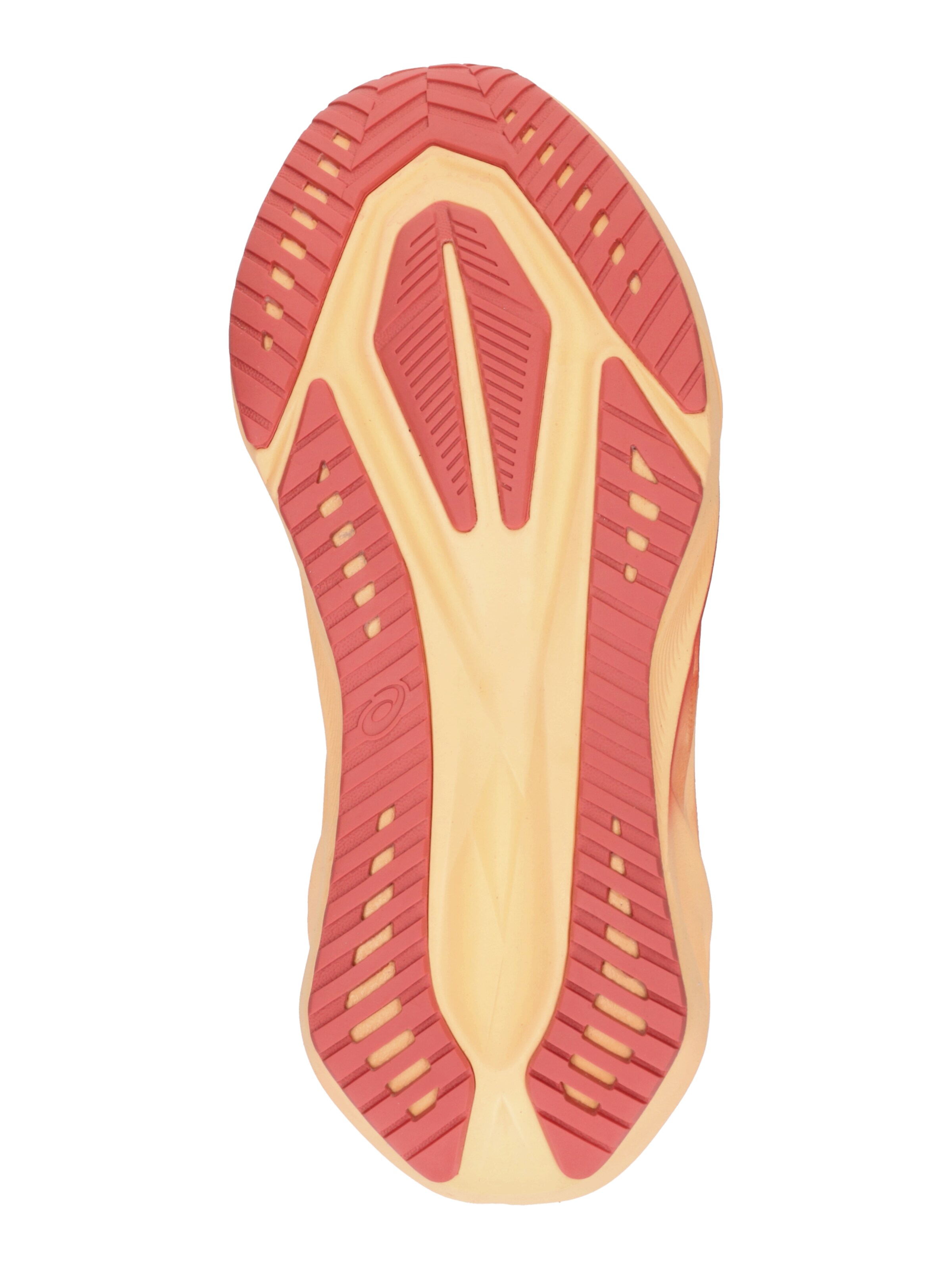 ASICS Buty do biegania 'Novablast 5' w kolorze czerwony