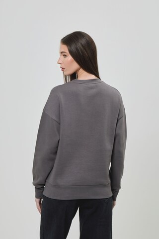 BENCH Sweatshirt in Grey