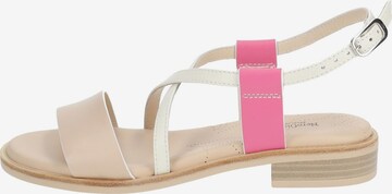 Nero Giardini Strap Sandals in Mixed colors