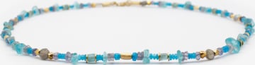 Bracelet 'Akki' Tiger Treasure Qualität, inspiriert seit 1890 en bleu : devant