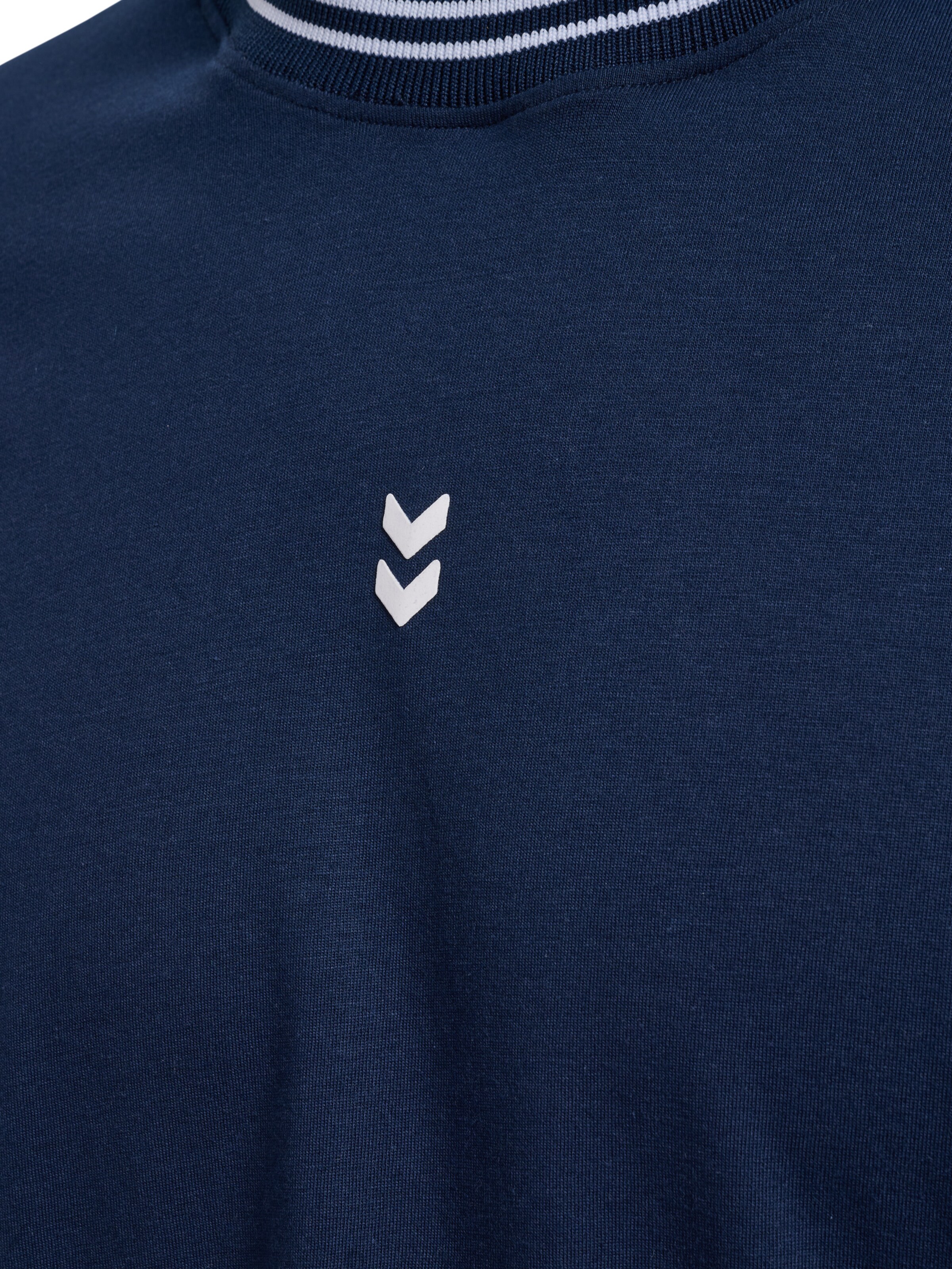 Hummel Funktionsshirt  'Hmlpulse Retro' in Blau