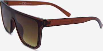 Lunettes de soleil ECO Shades en marron