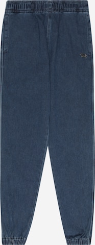 DIESEL Regular Broek in Blauw: voorkant