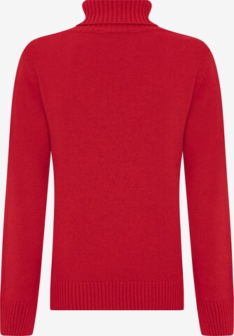 DENIM CULTURE - Pullover 'Fallon' em vermelho