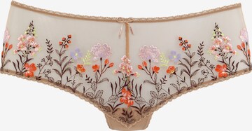 LASCANA Panty in Beige: predná strana