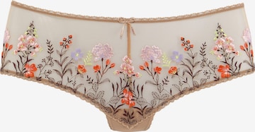 LASCANA Panty in Beige: front