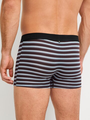 CALIDA Boxershorts 'Focus Trend'‌‌‌‌‌‌‌ in Braun
