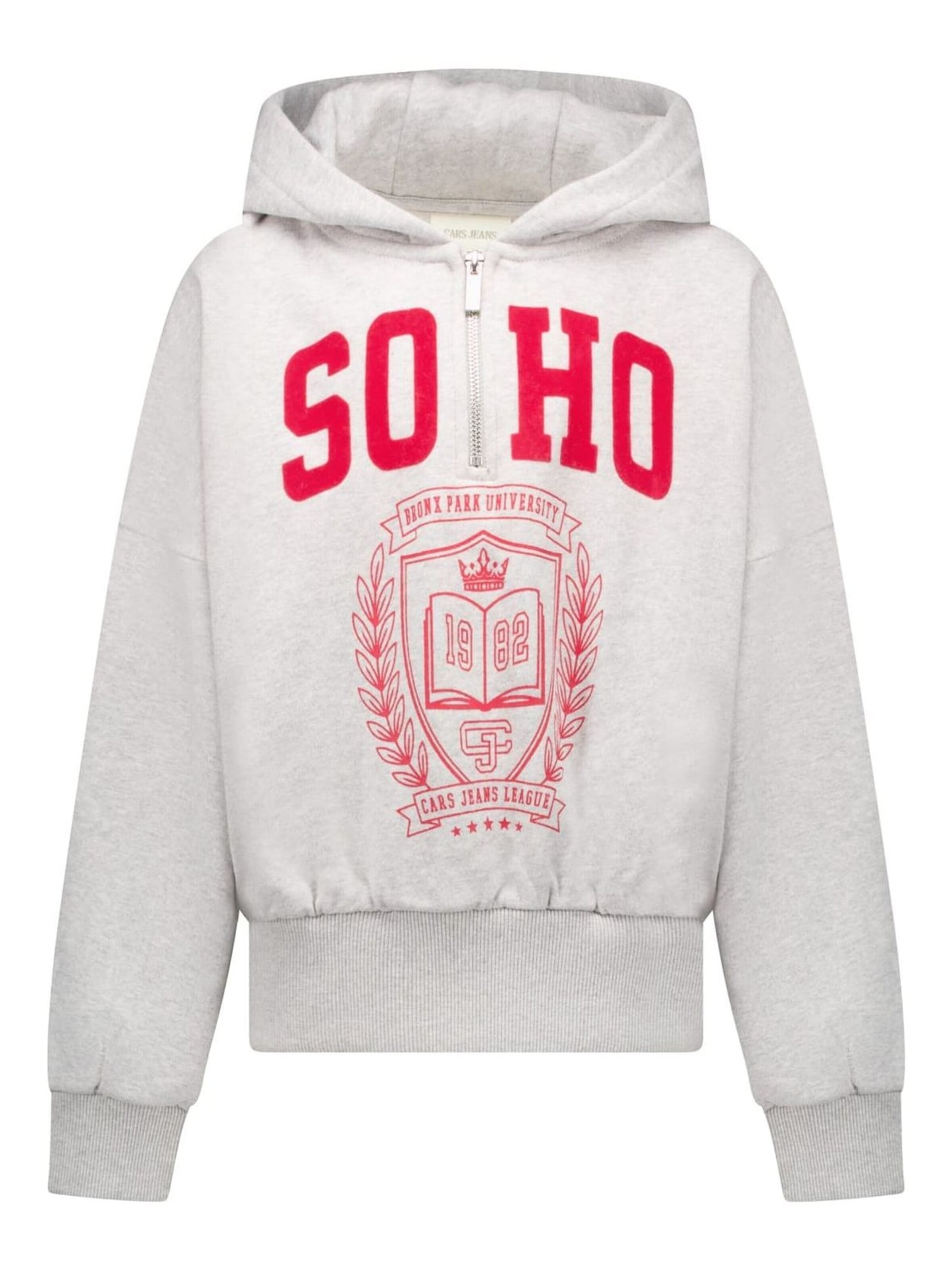 CARS Sweater in Grey: front