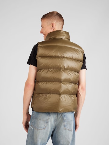 Gilet Blauer.USA en vert