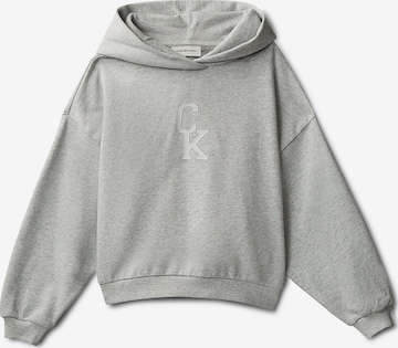 Calvin Klein Jeans Sweatshirt in Grey: front