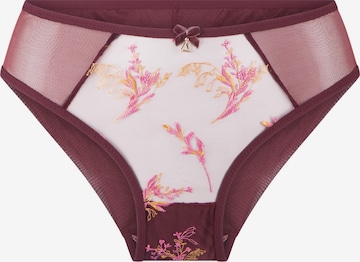 Slip LingaDore en rouge : devant