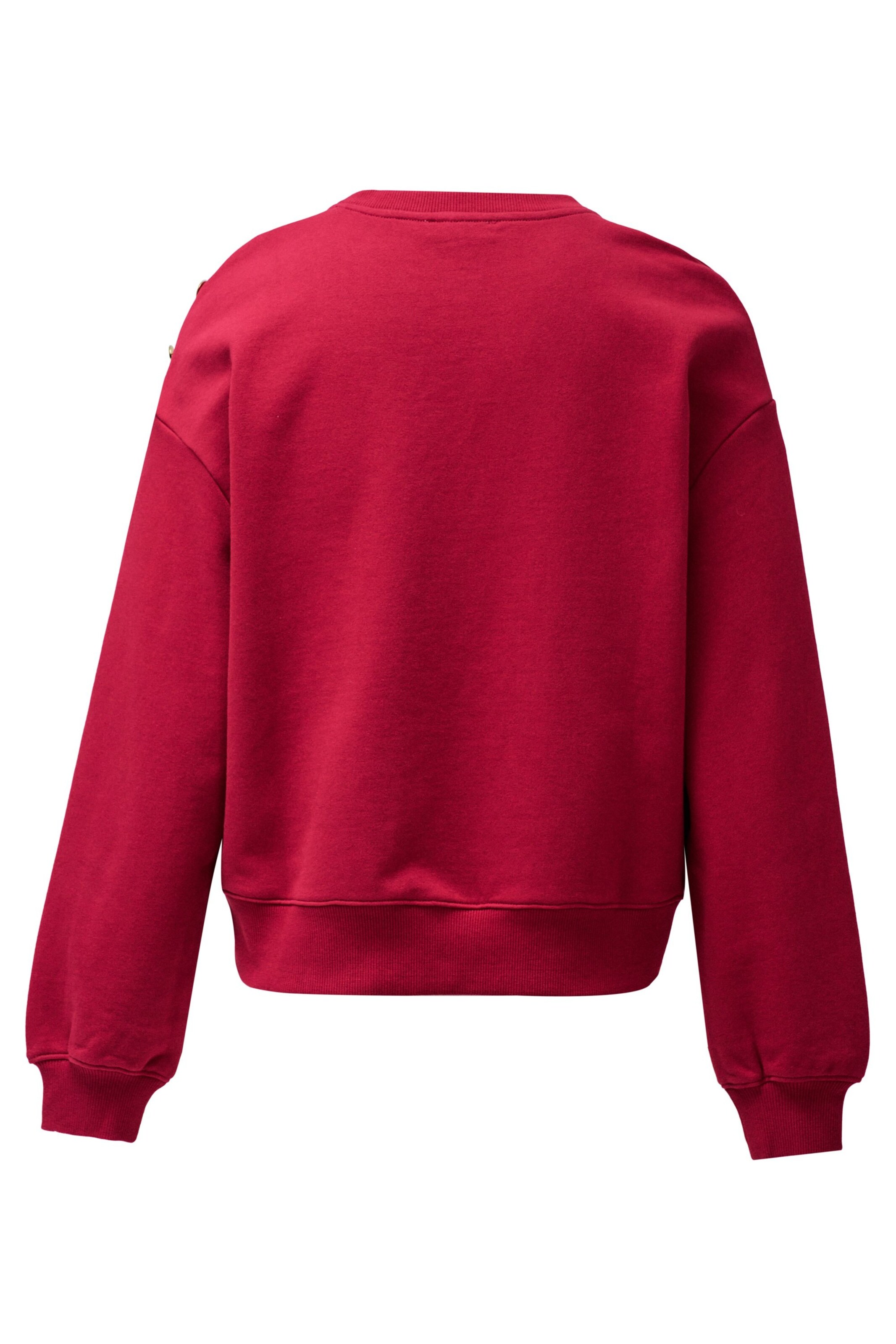 Salsa Jeans Sweater in Red