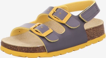 SUPERFIT Sandals & Slippers in Grey: front