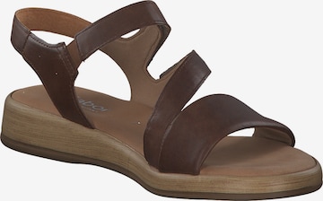 Sandales 'Comfort' GABOR en marron