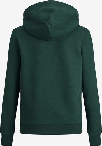 Jack & Jones Junior Свитшот в Зеленый