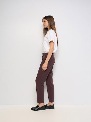Coupe slim Pantalon chino Salsa Jeans en marron