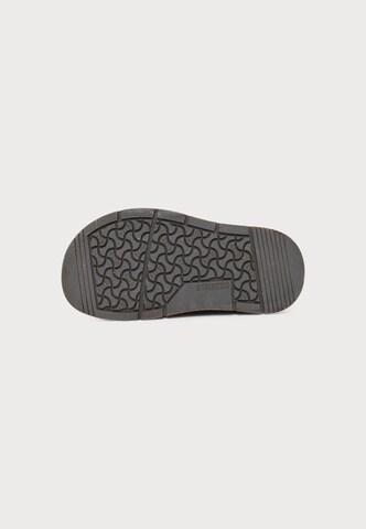 BIRKENSTOCK Nöörsaapad, värv pruun