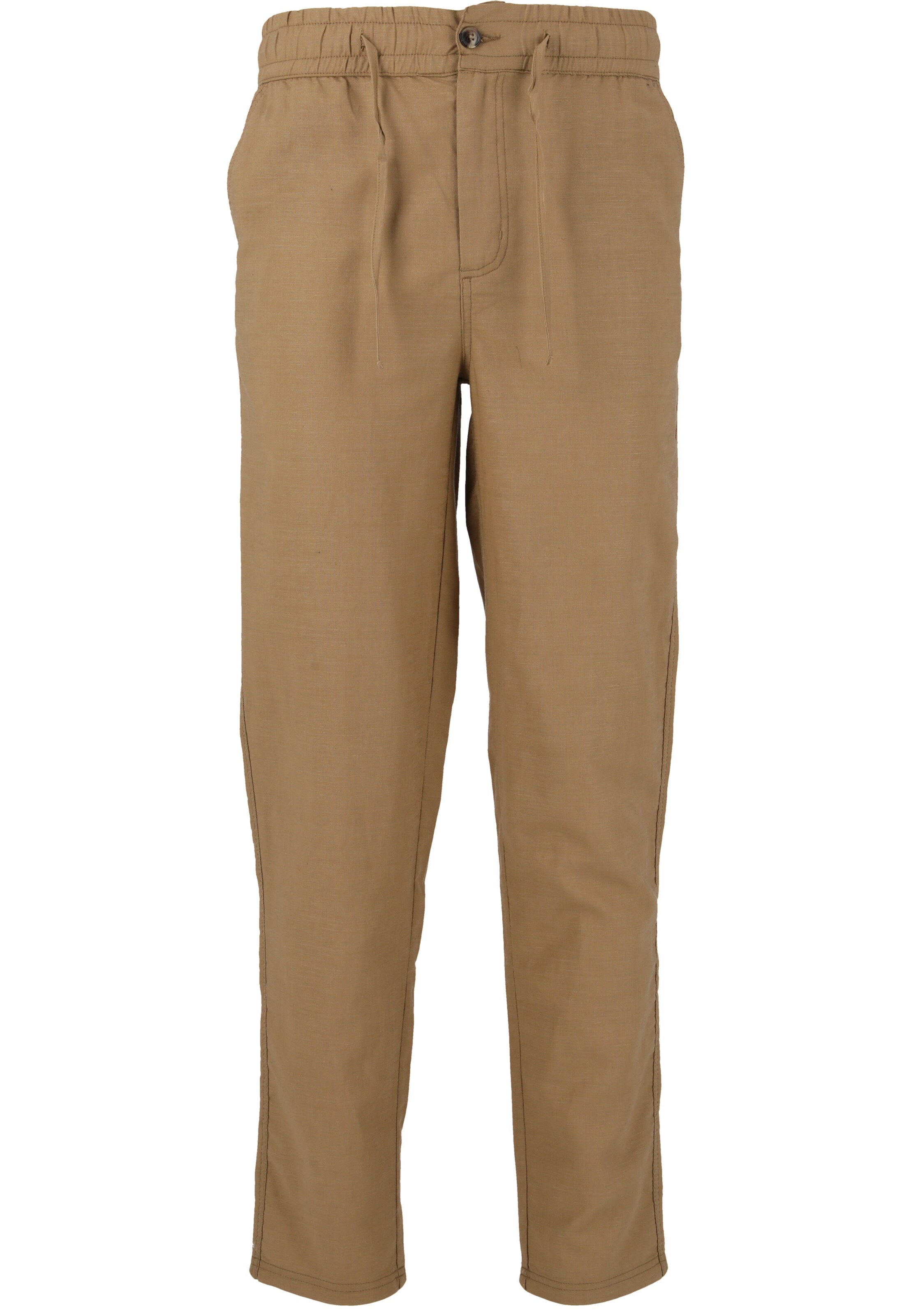 Cruz Pants 'Reagan' in Brown: front