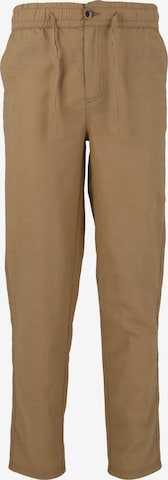 Cruz Hose 'Reagan' in Braun: Vorderseite