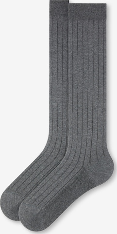 CALZEDONIA Kniestrümpfe in Grau: Vorderseite