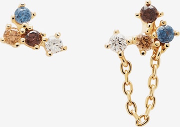 P D PAOLA Earrings in Gold: front